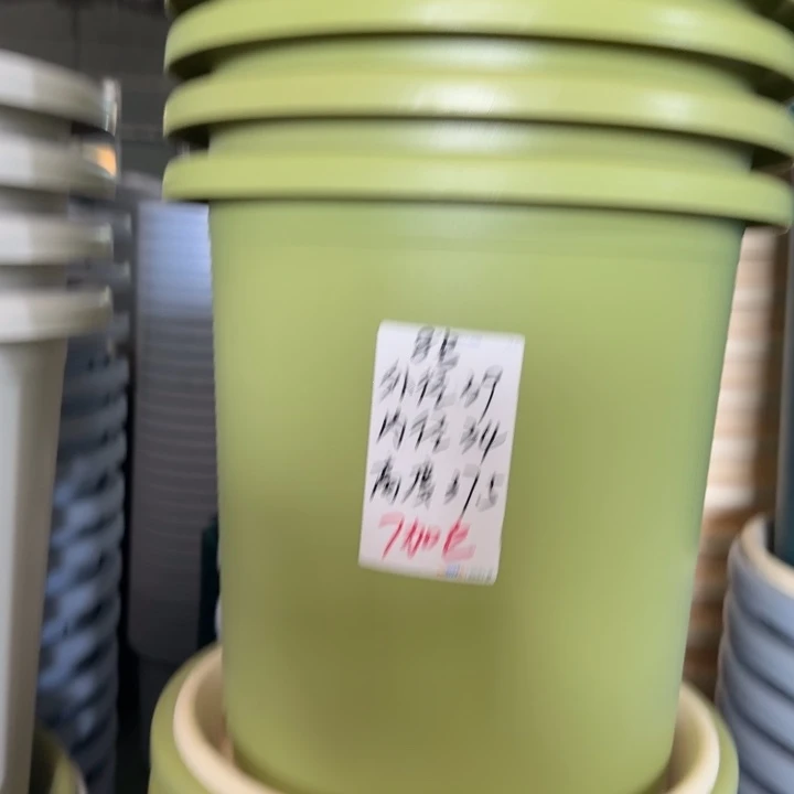 四季8号果绿无托5个特价微瑕