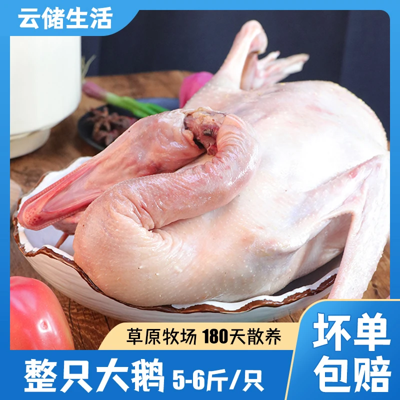 东北寒地大鹅5-6斤/只 整只发货顺丰包邮铁锅炖大鹅