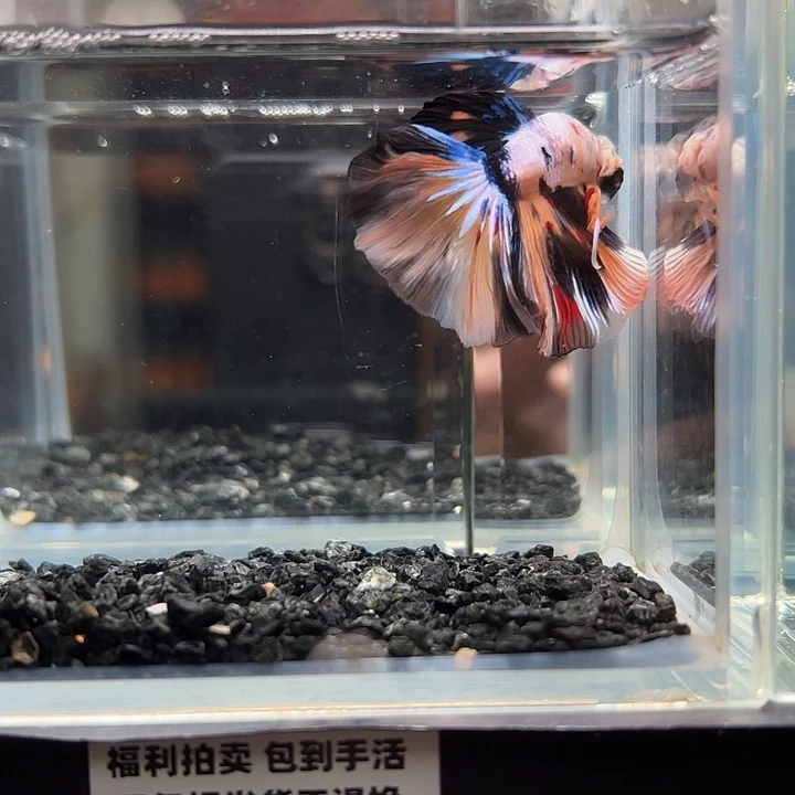 斗鱼满30包邮10日15