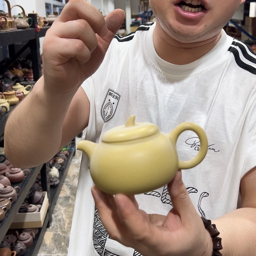 茶壶紫砂紫砂壶紫砂茶宠茶叶罐