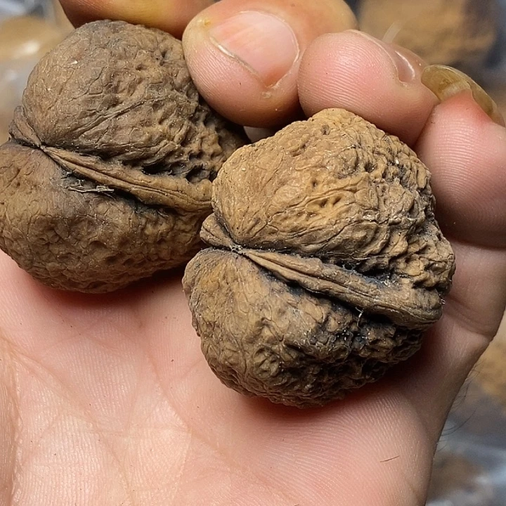 文玩核桃把件云南铁核桃29号38mm