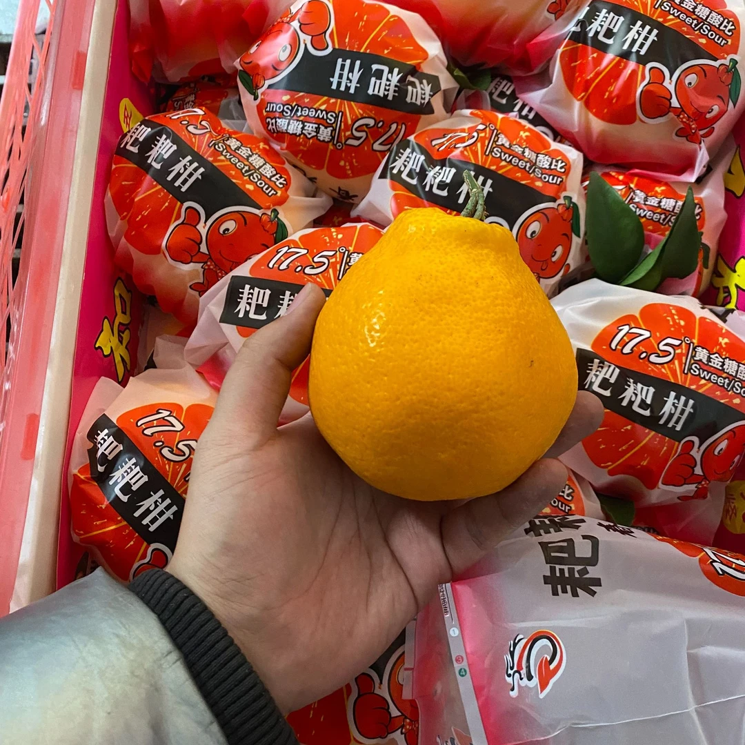 【中果】迪士尼耙耙柑香甜可口（仅限大同平城区云冈区可拍）