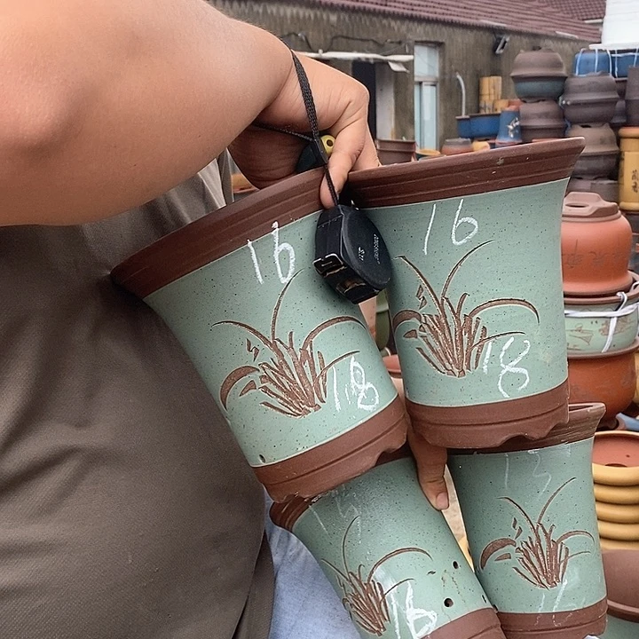 紫砂花盆盆栽观赏植物