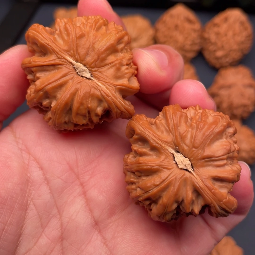 文玩核桃把件42红皮球白