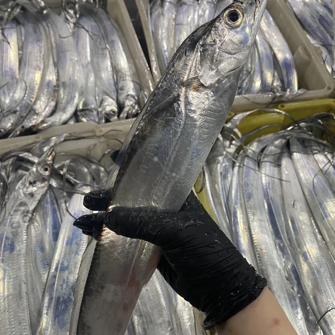 A广东南海深海野生新鲜青章黄边带鱼