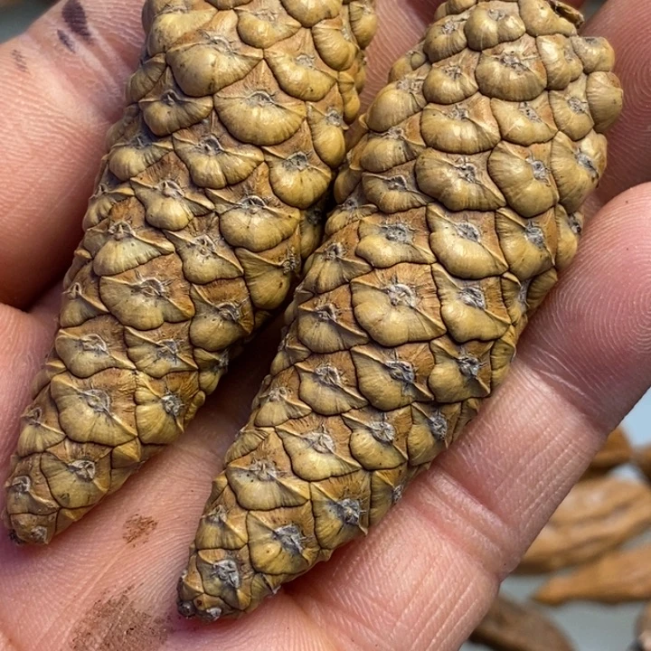 香榧木拿姐工艺流程49
