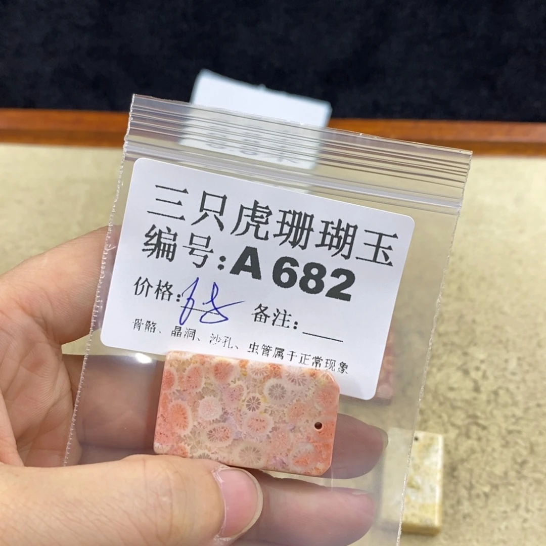 硅化珊瑚(珊瑚玉)1未镶嵌粒*萝