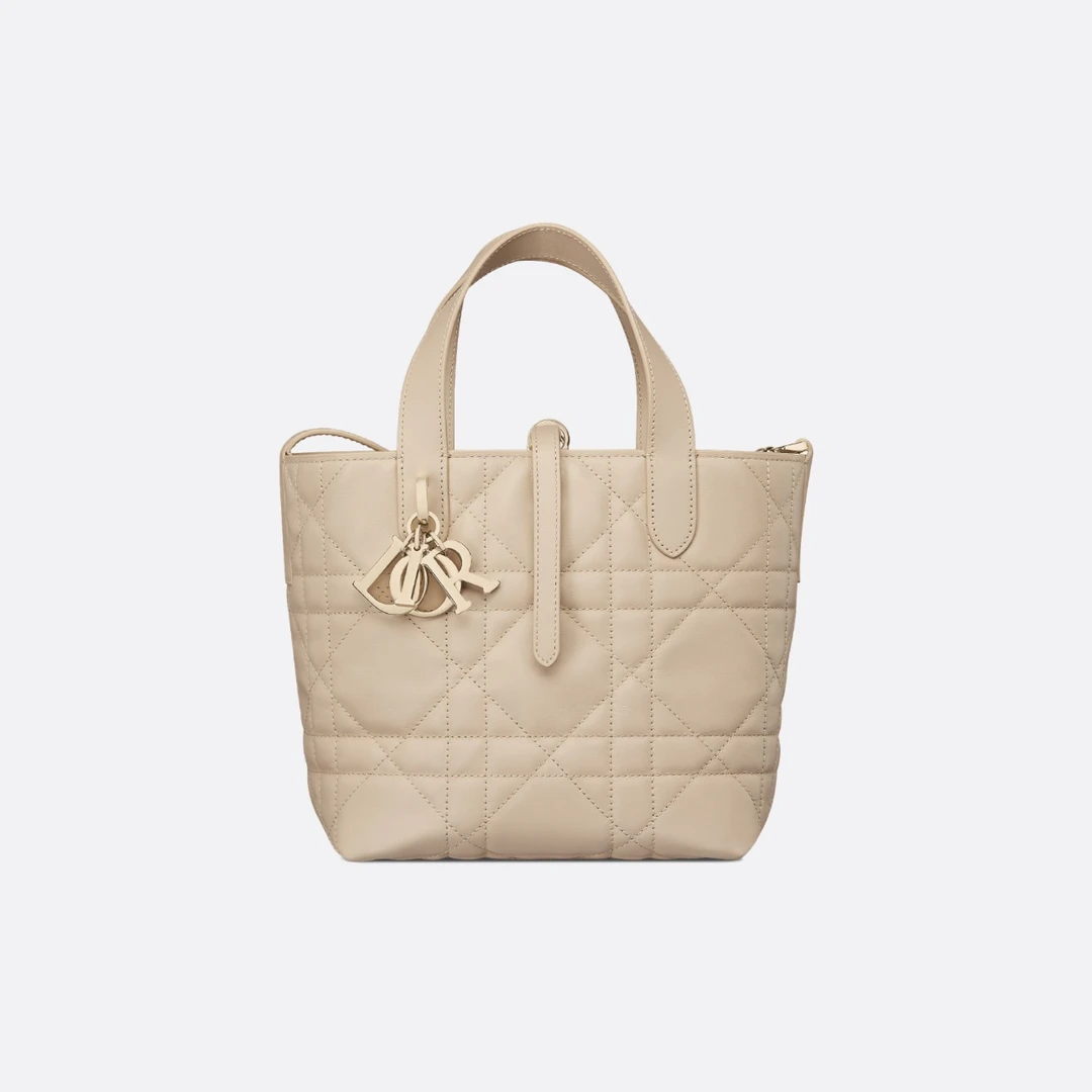未使用 DIOR/迪奥 土著（25年票大全套）toujours小号胭脂米色竖版