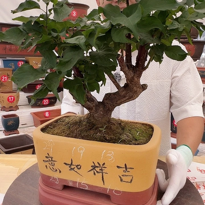 精品紫砂工厂直发