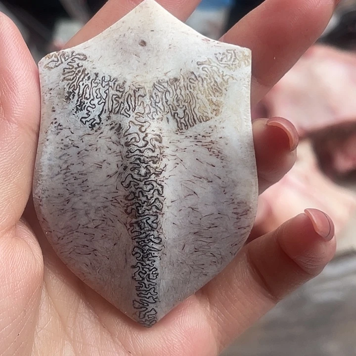 养殖鹿骨三界牌子