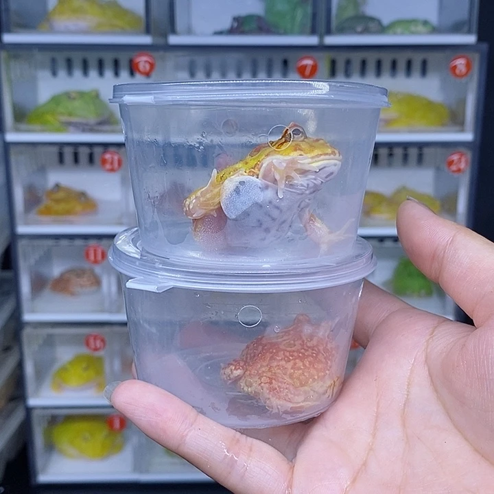 特价秒杀特价原价