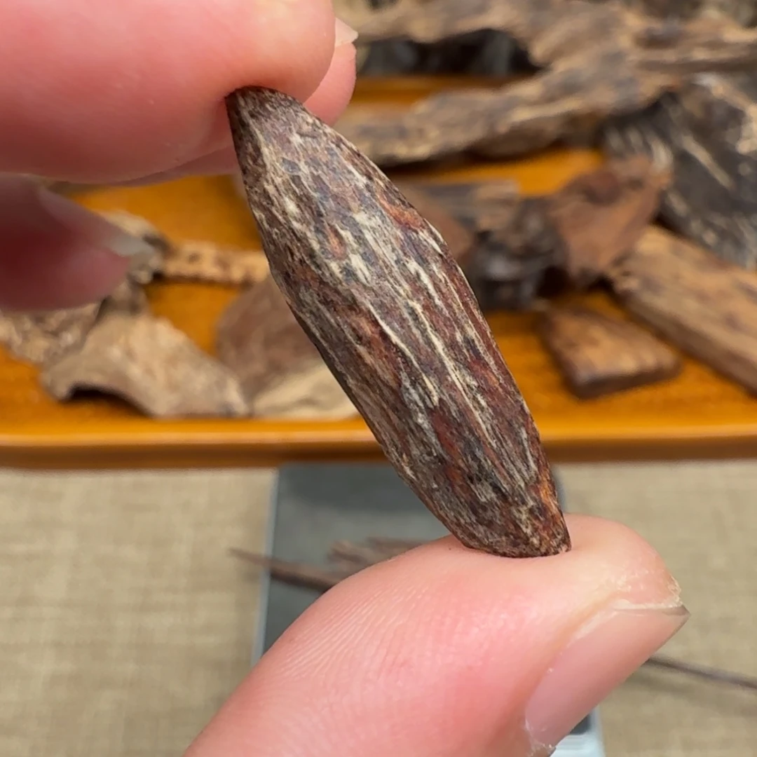 沉香香港大屿山棋韵瓜子料