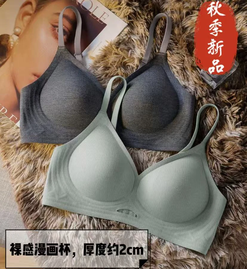 【秋冬新品】女士内衣透气无痕聚拢有型小胸显大漫画杯上托裸感文胸