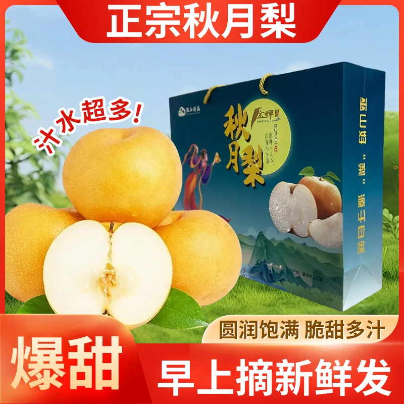 正宗秋月梨巫山脆梨礼盒装现摘现发脆甜多汁当季新鲜果园直发包邮