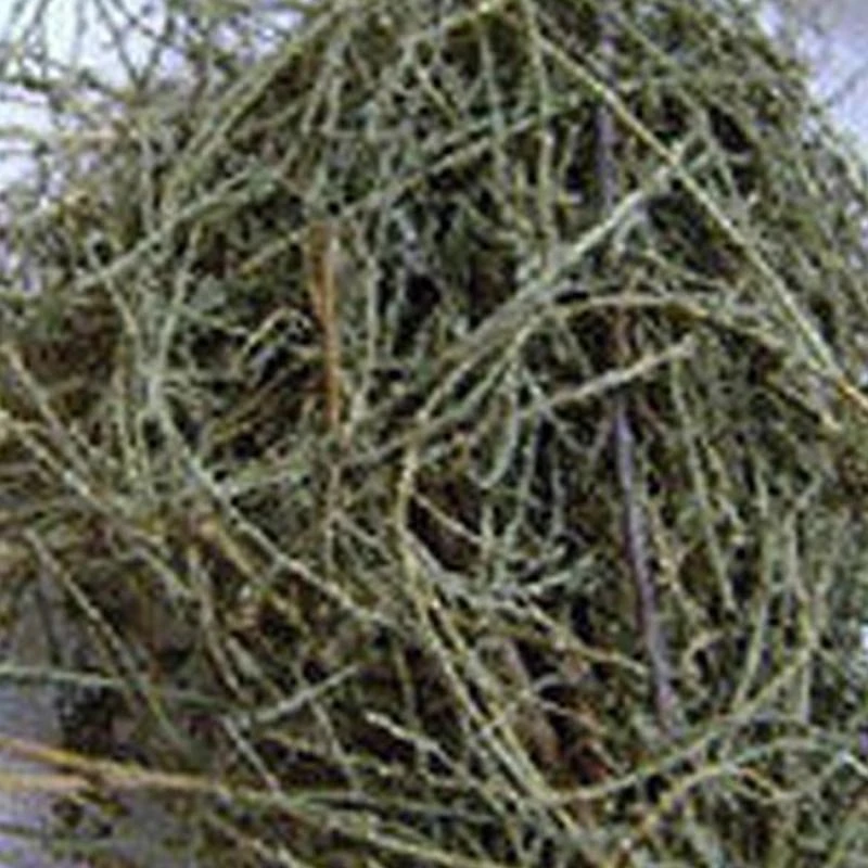 柽柳 柽柳西河柳 500g  一斤包邮 农副产品初加工批发大货从优