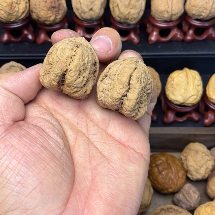 核桃铁核桃蝴蝶蟾7