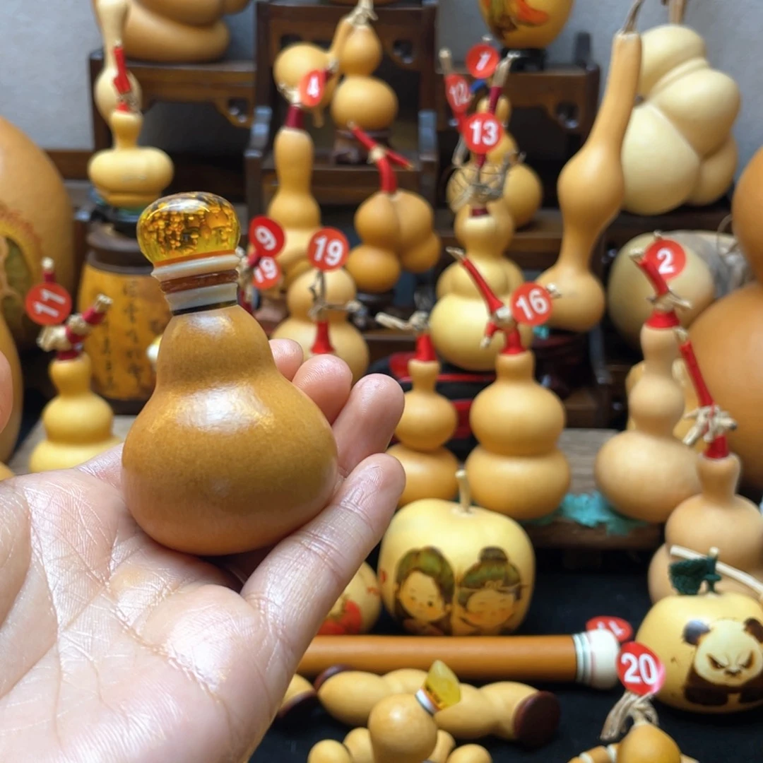 木**易大自然的秘密第十一节我是