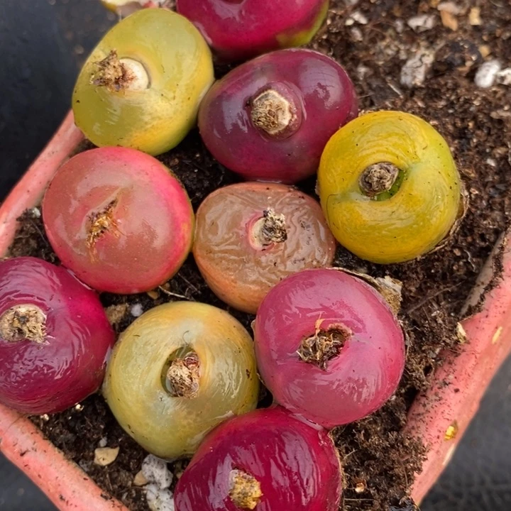 2042一组一组一组