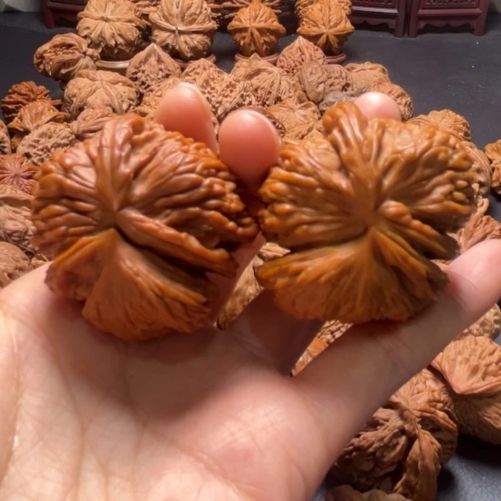 全品白狮子推土机41尺寸核桃哈哈哈哈哈哈哈
