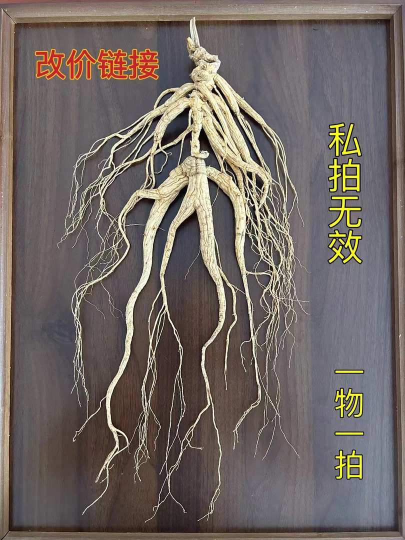 如花 人参 改价专用链接 一物一拍