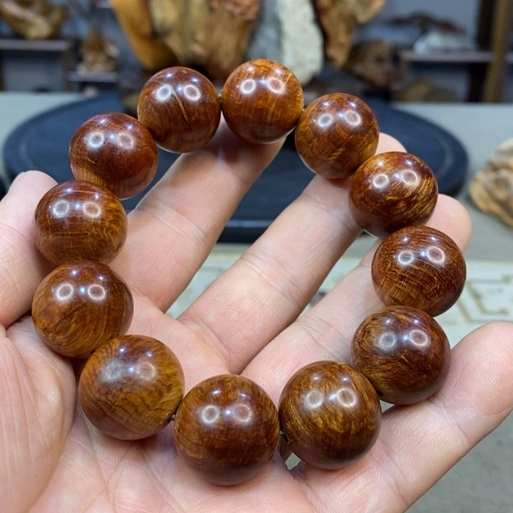 柏木（崖柏）崖柏 