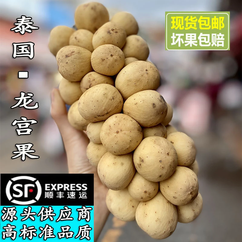 【泰国进口】空运新鲜龙宫果椰色果当季稀有热带水果酸甜嫩奇葩水果