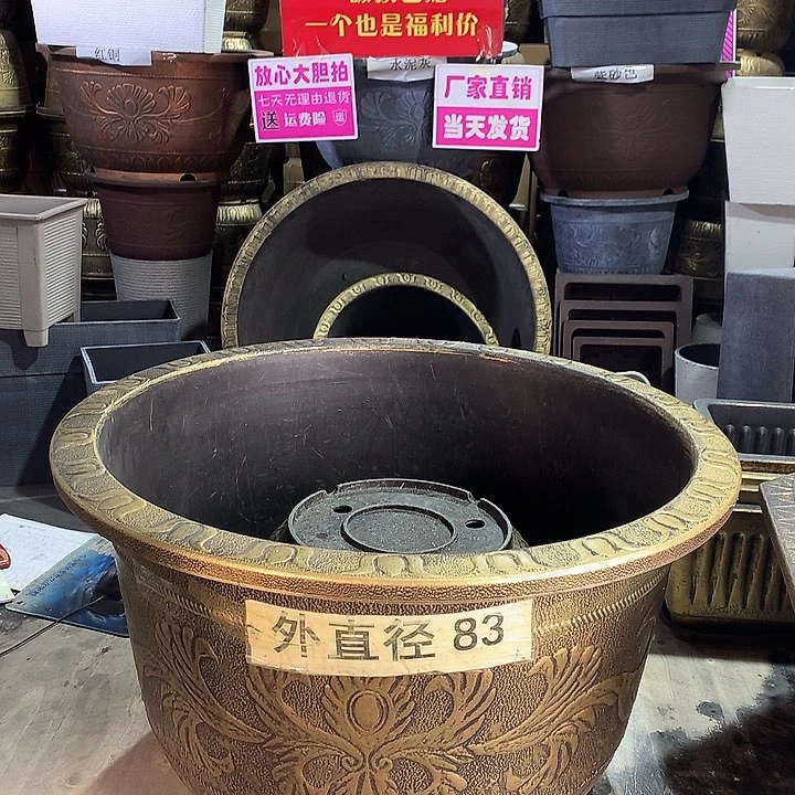 复合圣*士f f h h cv