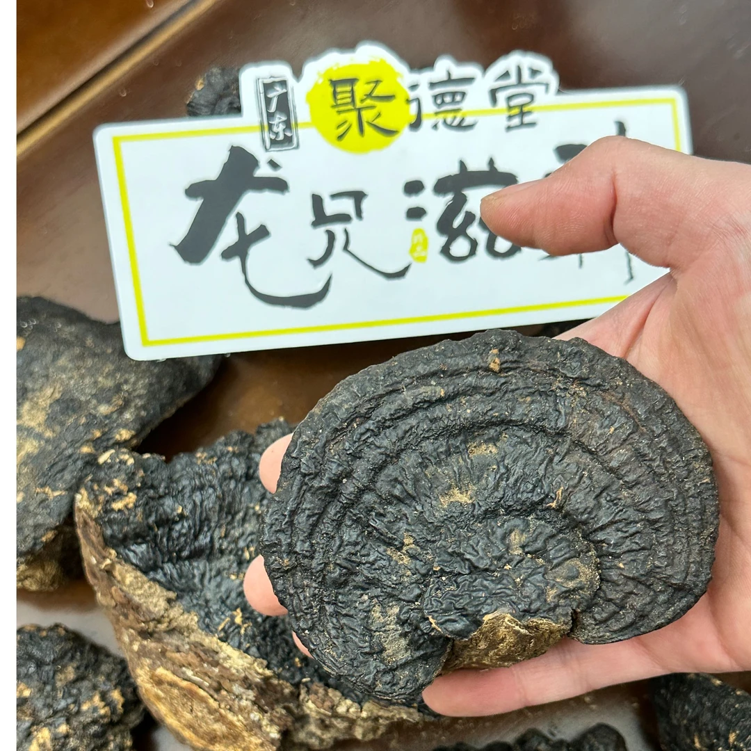 【龙兄滋补】薄树芝500g 散装农产品 不苦灵芝海南无柄黑树芝泡酒