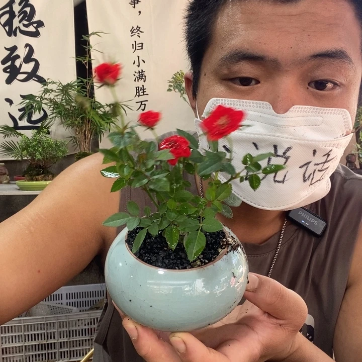 以实际为准退款拉黑拉黑13