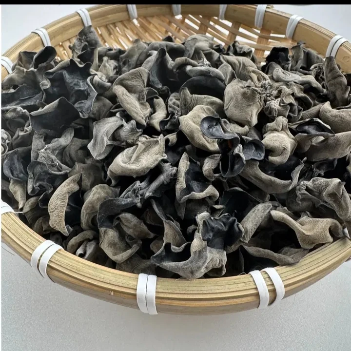 东北黑木耳山泉水灌溉吃了更健康