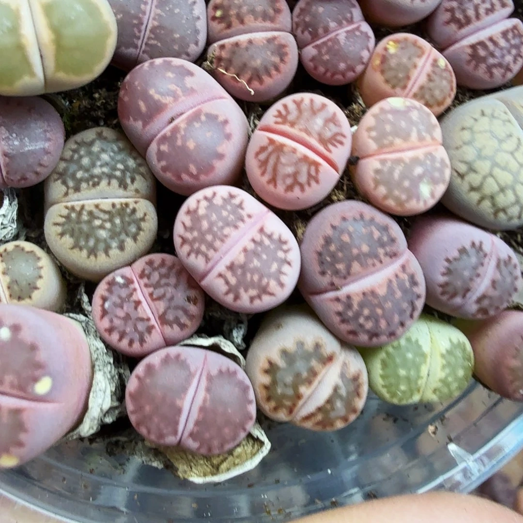 就这样在这个城市生活很短636你