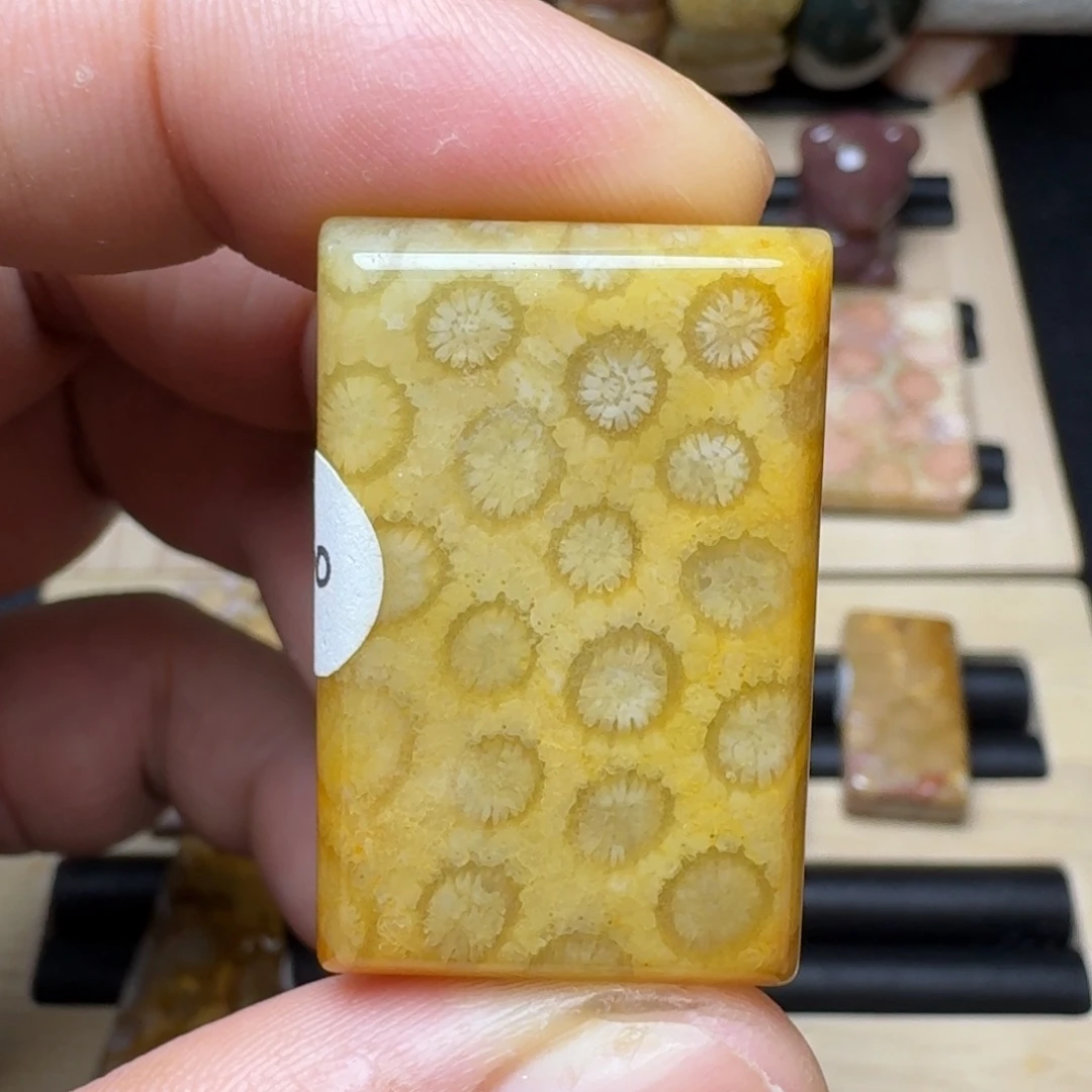 硅化玉未镶嵌纯天然色有机玉石保真色