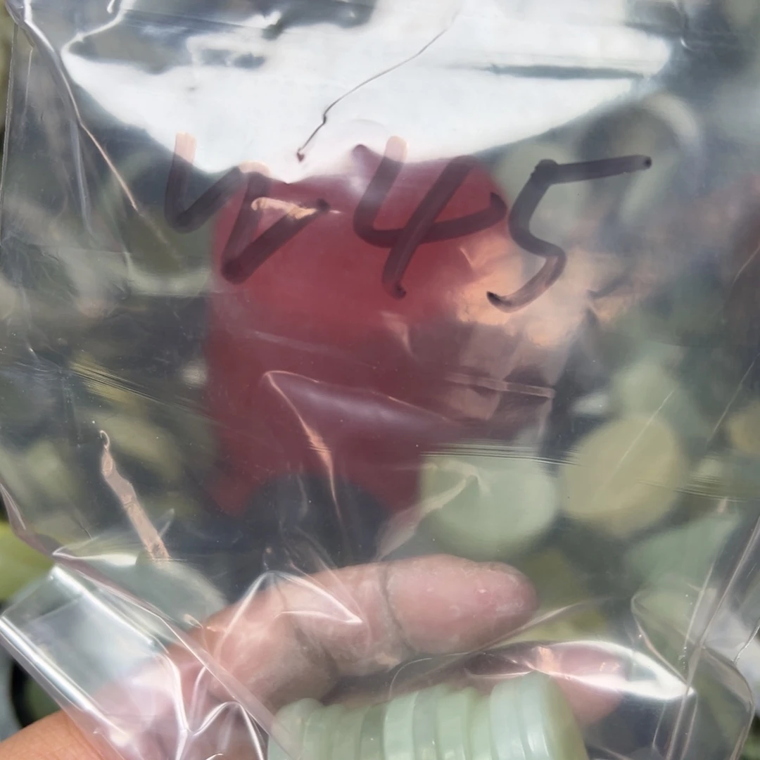 至***宝蛇纹石玉未镶嵌岫玉手镯心，平安无事牌