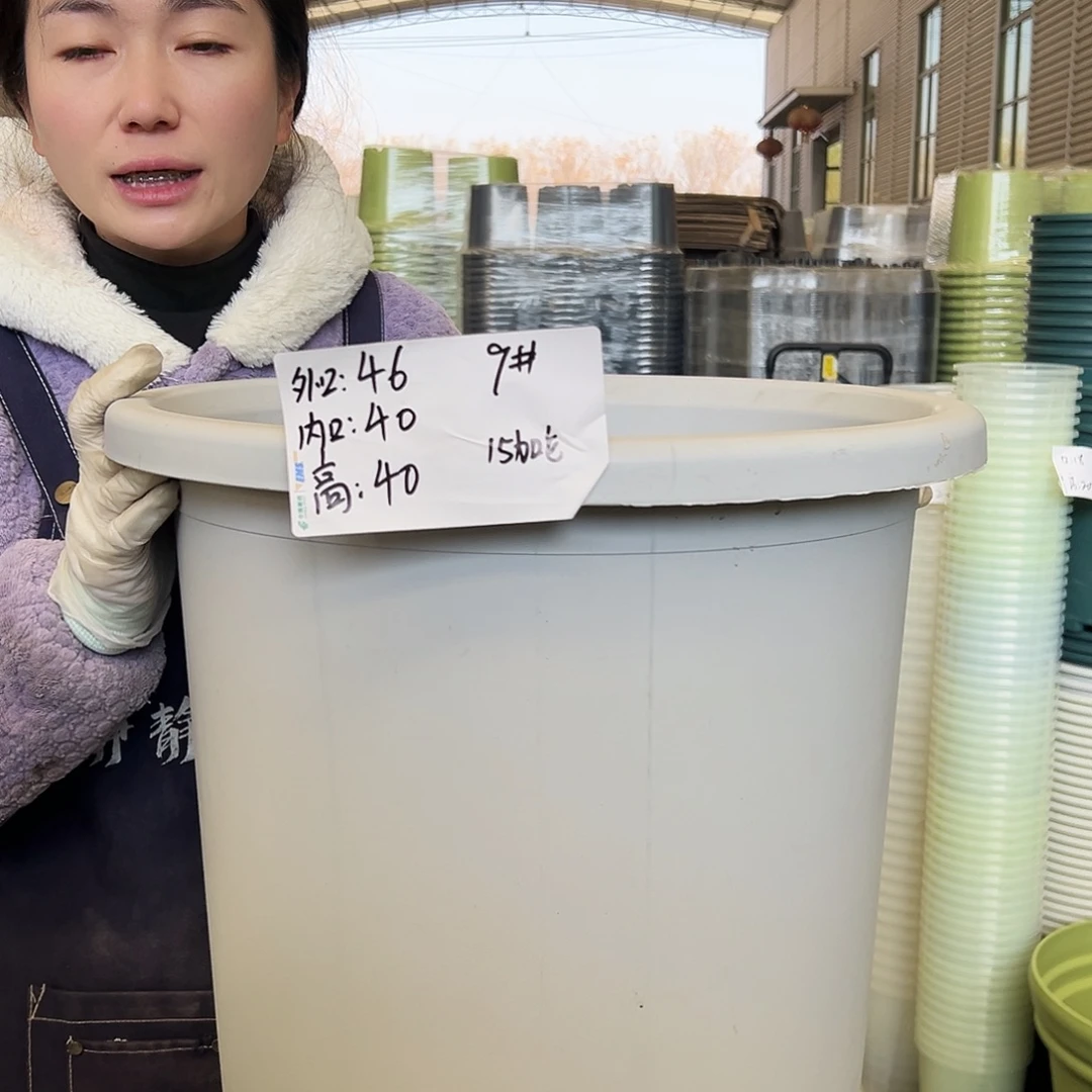 四季盆9#灰白4个无托