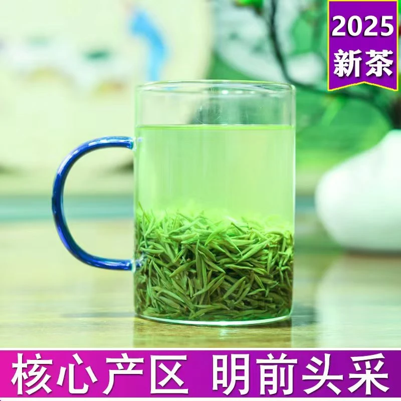 信阳毛尖茶厂2025新茶明前小芽散装批发毛尖茶叶绿茶原产地茶叶