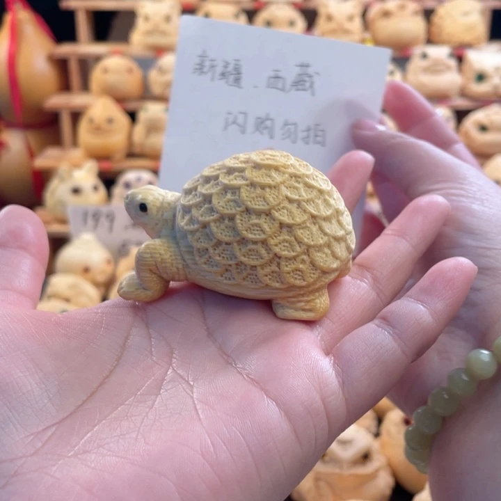 竹金钱龟微瑕福利zz