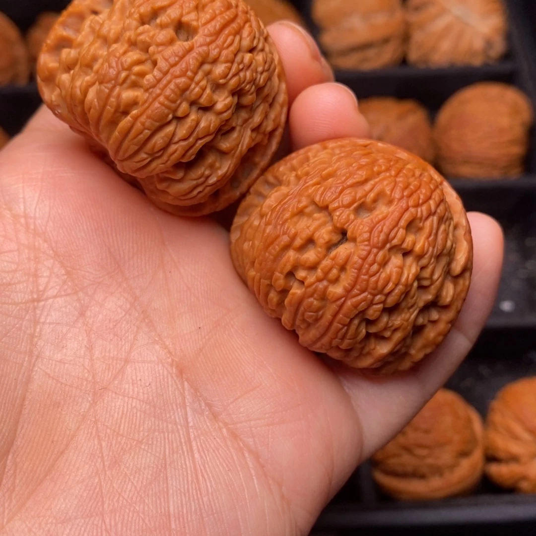 秦岭野生文玩核桃