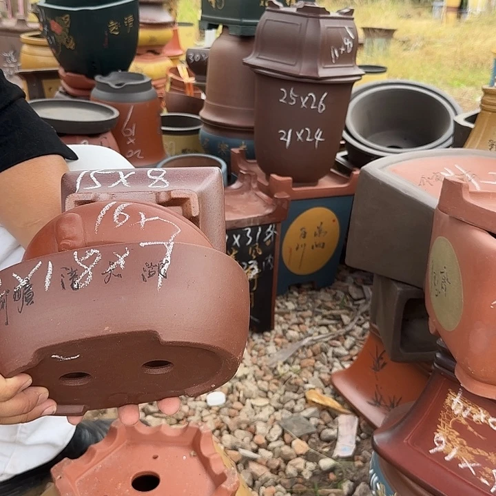 紫砂花盆紫砂花盆