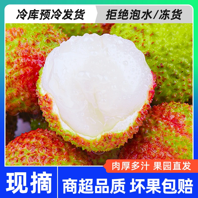 【清甜爽口 新鲜到家】妃子笑荔枝鲜果5斤装 顺丰冷链 现货现发