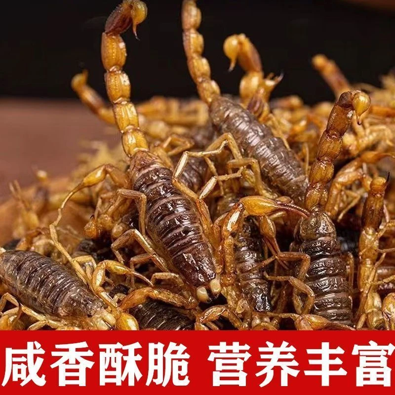 {活蝎}油炸蝎子蝗虫既食香辣油炸制全蝎蝎子油炸蝎子野生动物大全