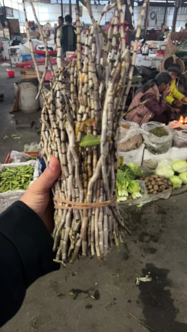 【边陲之乡】铁皮石斛鲜条