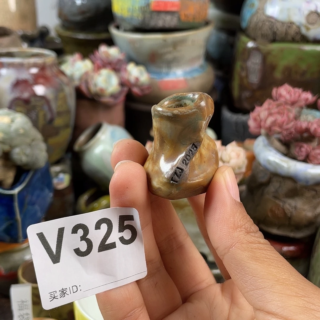 默认微次 跨年福利 坛子姐花盆