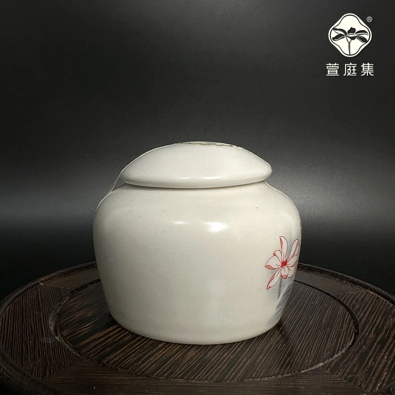 天山雪莲膏100g*2