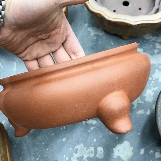 红陶群*紫砂花盆漂亮