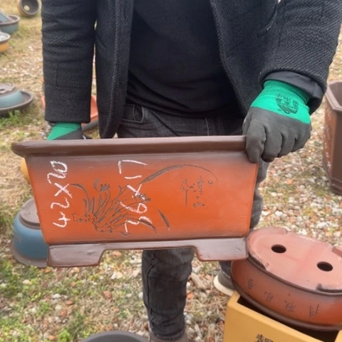 紫砂花盆紫砂花盆盆景盆栽