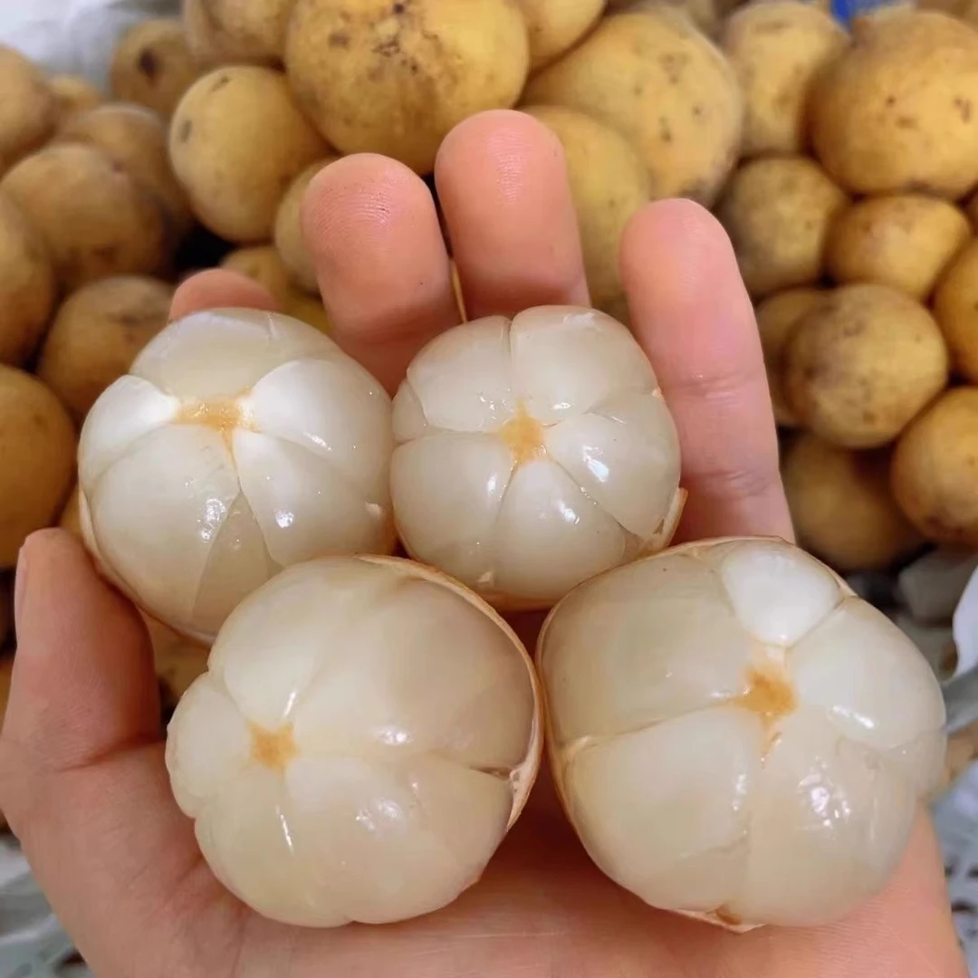 【顺丰包邮】龙宫果新鲜水果应当季龙贡果爱情果孕妇水果包邮