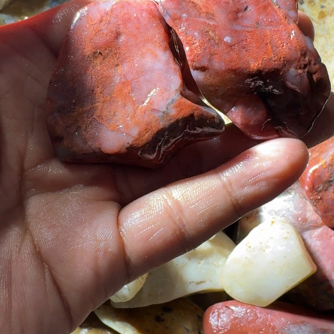 警***猫寿山石8999888999988