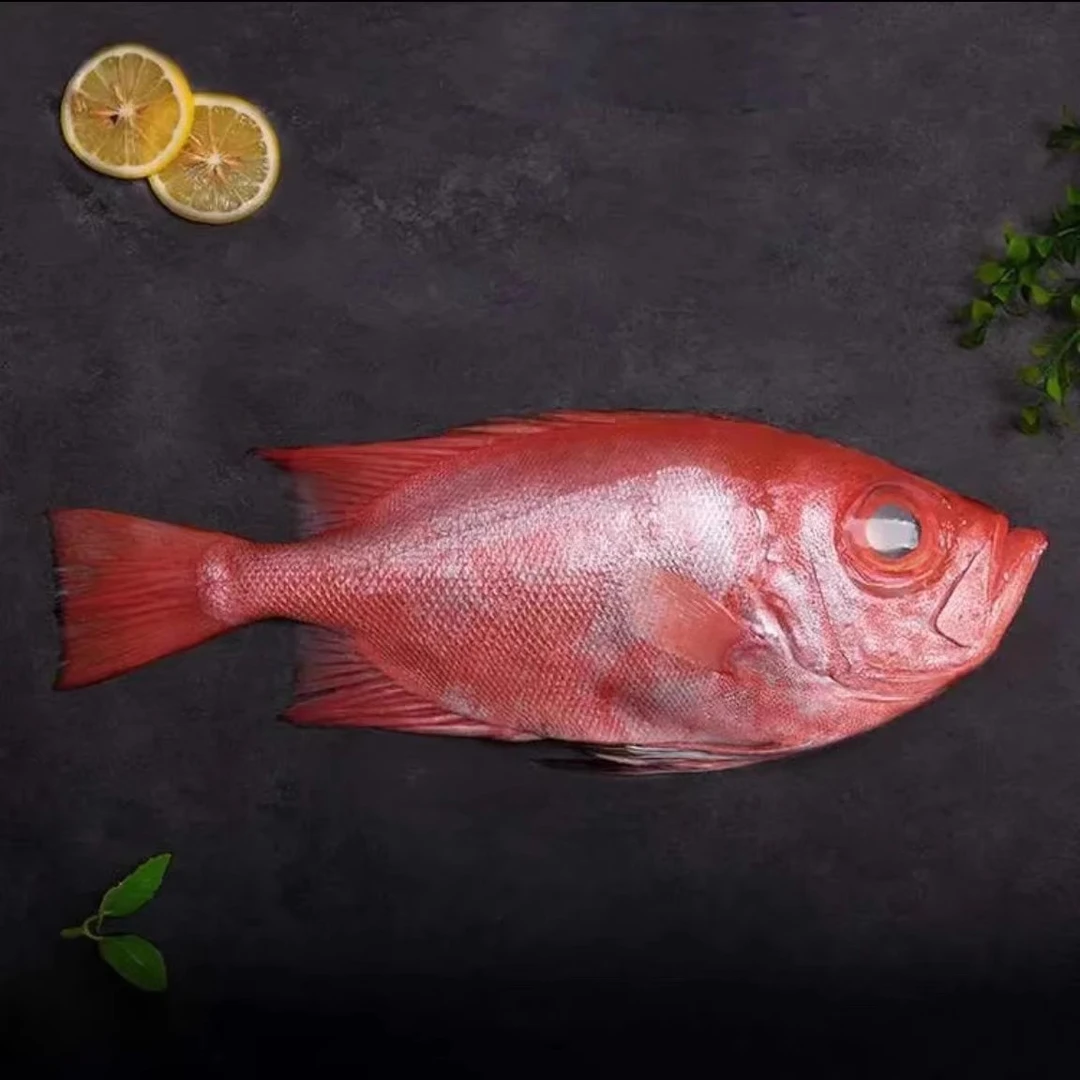 大红目连/大眼鸡  生鲜深海