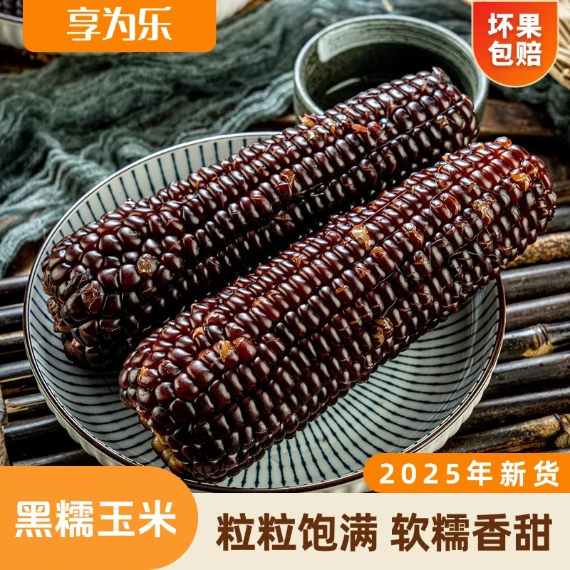 【享为乐】山西黑糯玉米真空包装8根装220g/根