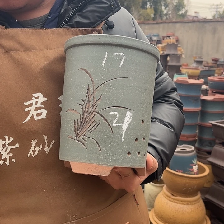 紫砂紫砂花盆盆栽